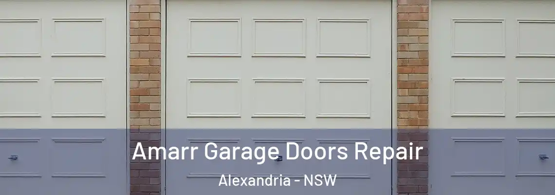Amarr Garage Doors Repair Alexandria - NSW