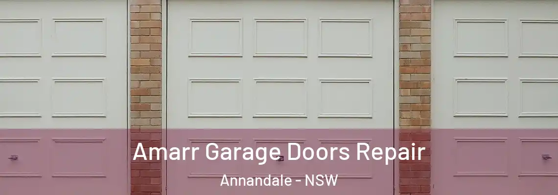 Amarr Garage Doors Repair Annandale - NSW