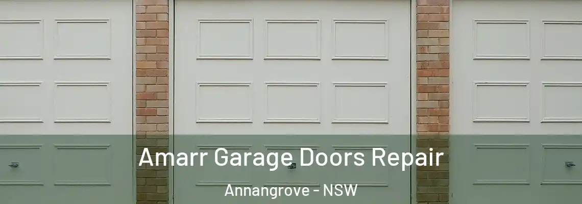  Amarr Garage Doors Repair Annangrove - NSW