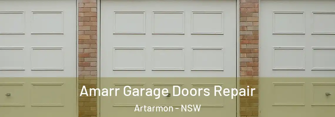Amarr Garage Doors Repair Artarmon - NSW