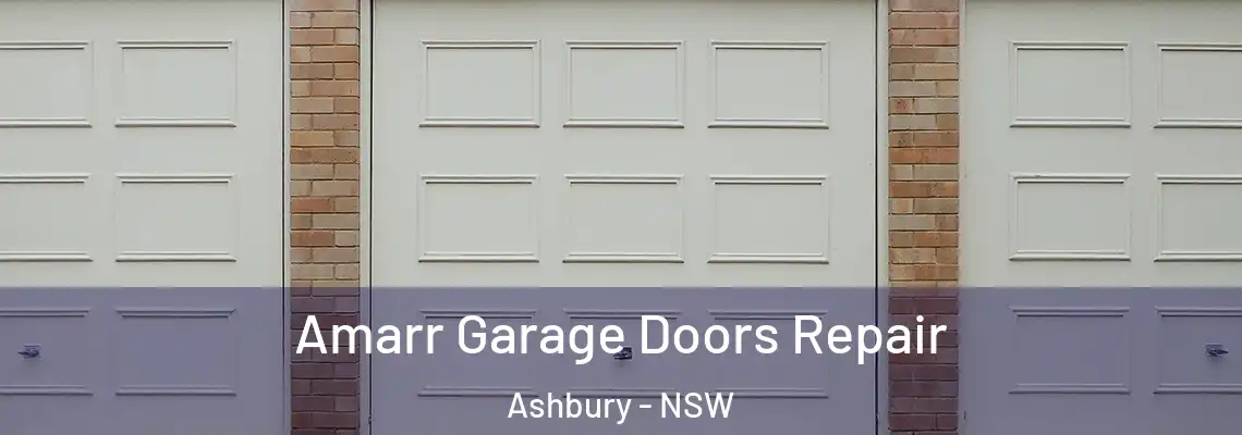 Amarr Garage Doors Repair Ashbury - NSW
