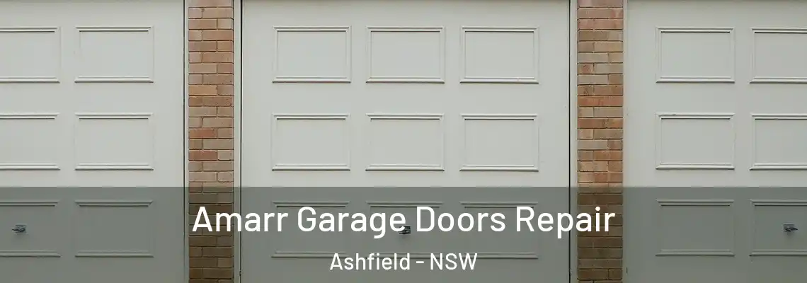 Amarr Garage Doors Repair Ashfield - NSW
