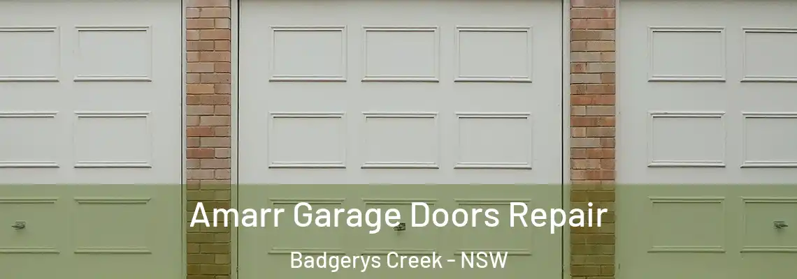 Amarr Garage Doors Repair Badgerys Creek - NSW