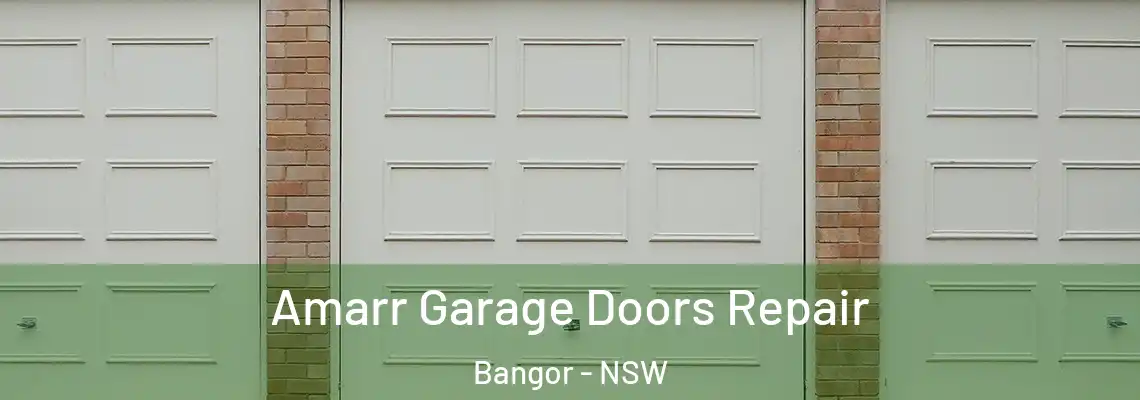 Amarr Garage Doors Repair Bangor - NSW