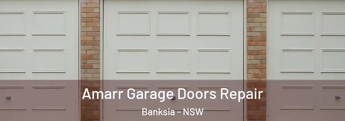 Amarr Garage Doors Repair Banksia - NSW