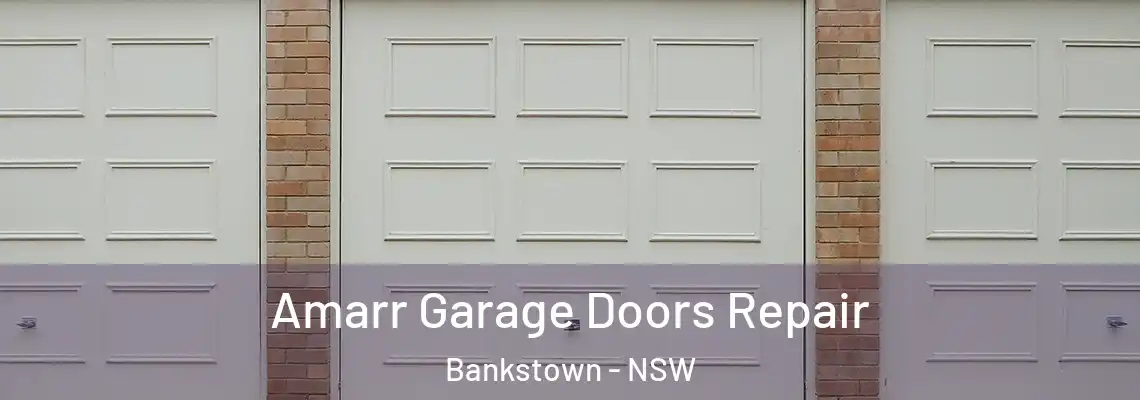 Amarr Garage Doors Repair Bankstown - NSW