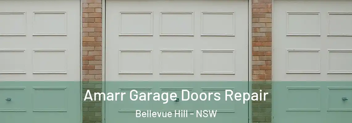 Amarr Garage Doors Repair Bellevue Hill - NSW