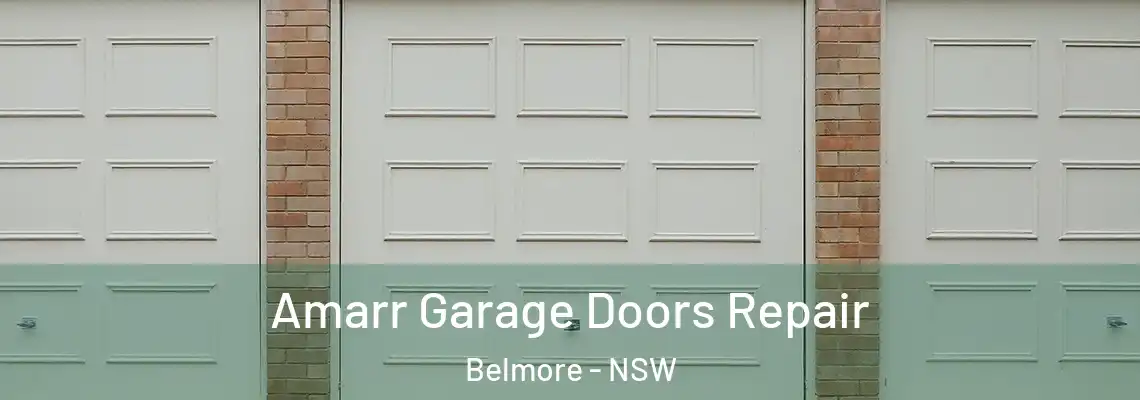 Amarr Garage Doors Repair Belmore - NSW