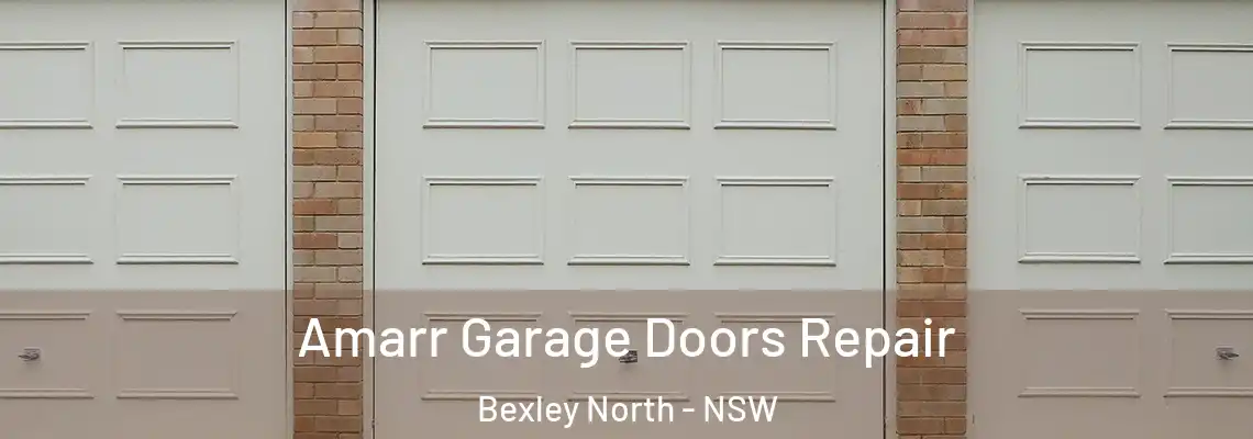 Amarr Garage Doors Repair Bexley North - NSW