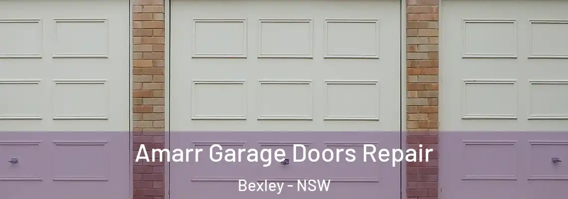  Amarr Garage Doors Repair Bexley - NSW
