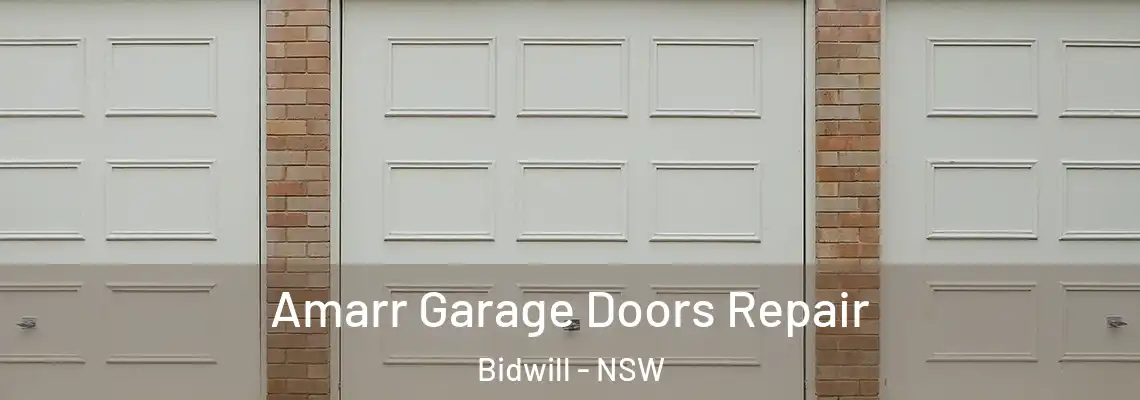 Amarr Garage Doors Repair Bidwill - NSW