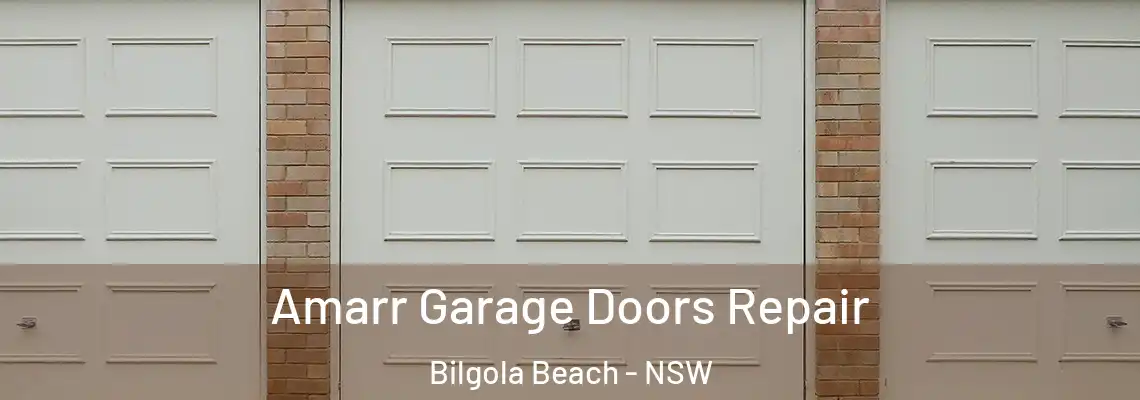 Amarr Garage Doors Repair Bilgola Beach - NSW