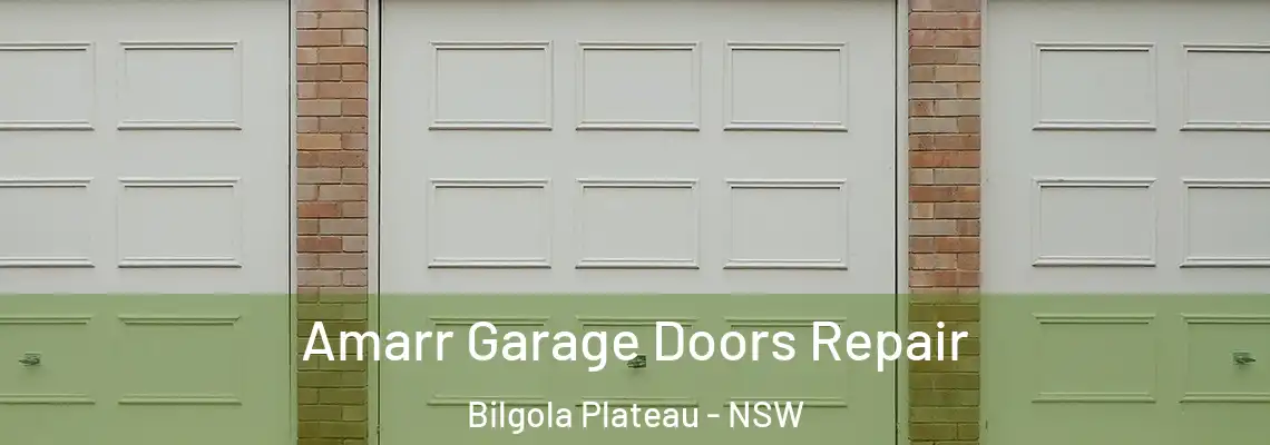 Amarr Garage Doors Repair Bilgola Plateau - NSW