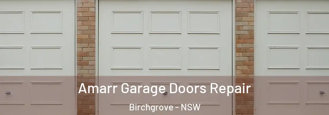 Amarr Garage Doors Repair Birchgrove - NSW