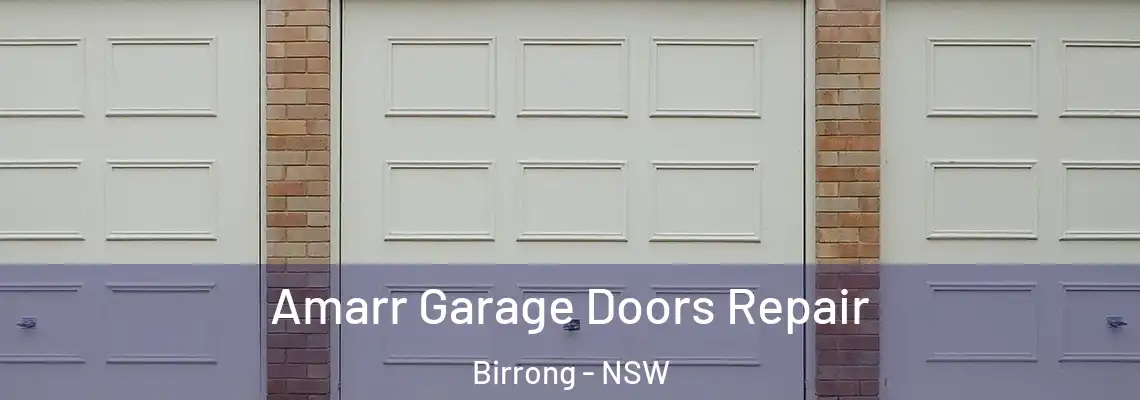 Amarr Garage Doors Repair Birrong - NSW