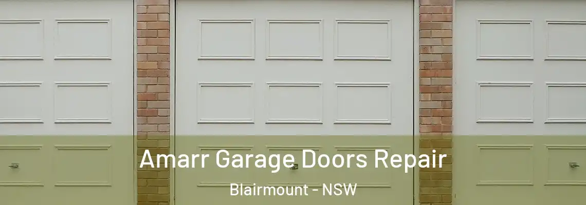 Amarr Garage Doors Repair Blairmount - NSW