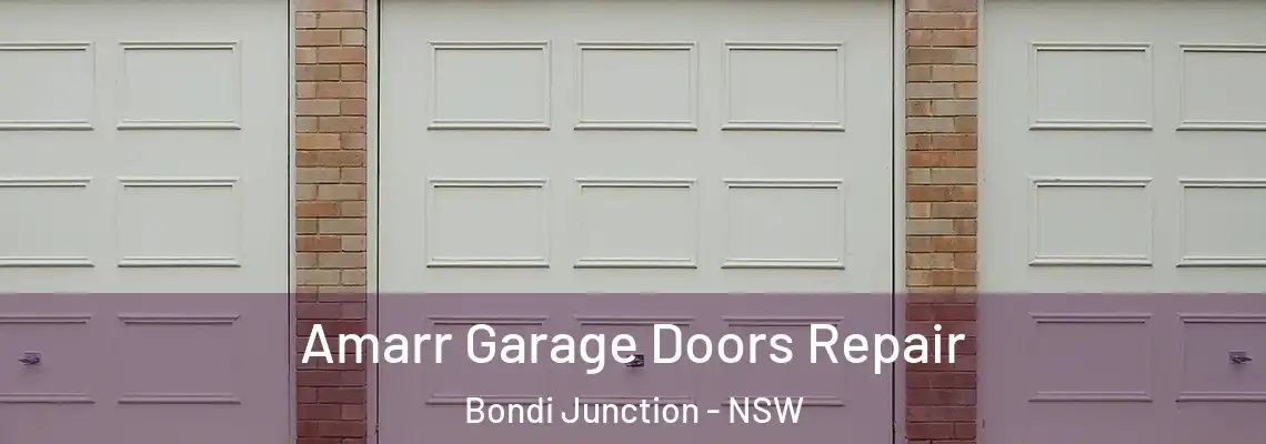 Amarr Garage Doors Repair Bondi Junction - NSW