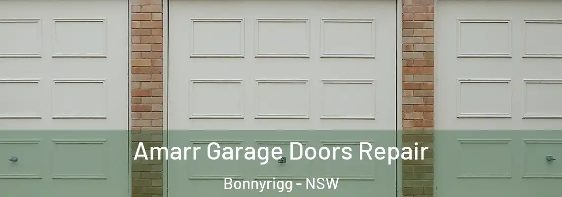 Amarr Garage Doors Repair Bonnyrigg - NSW