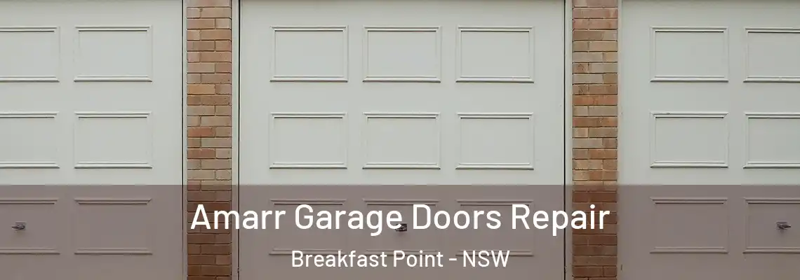 Amarr Garage Doors Repair Breakfast Point - NSW