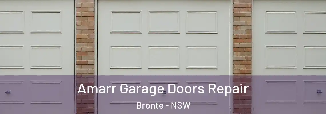Amarr Garage Doors Repair Bronte - NSW