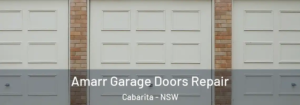  Amarr Garage Doors Repair Cabarita - NSW