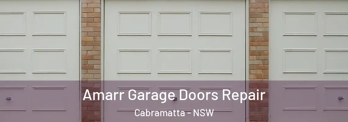 Amarr Garage Doors Repair Cabramatta - NSW