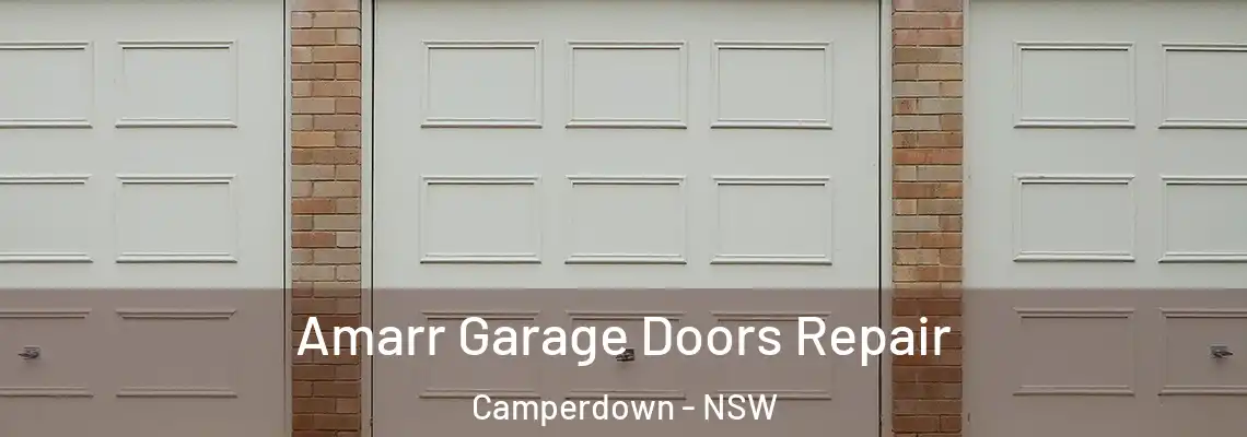Amarr Garage Doors Repair Camperdown - NSW