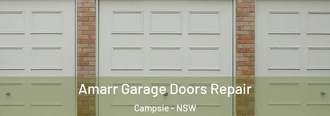 Amarr Garage Doors Repair Campsie - NSW