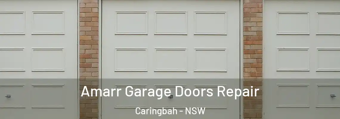 Amarr Garage Doors Repair Caringbah - NSW
