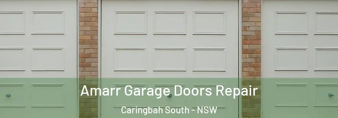 Amarr Garage Doors Repair Caringbah South - NSW