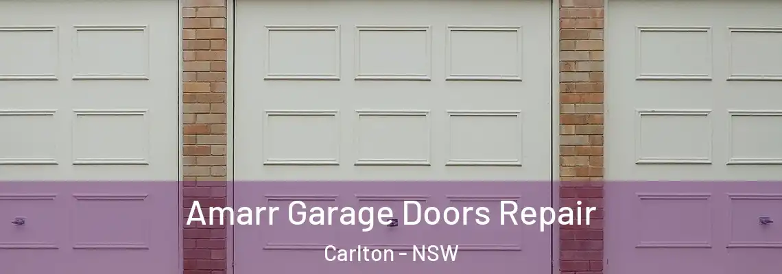  Amarr Garage Doors Repair Carlton - NSW