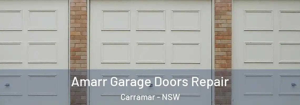 Amarr Garage Doors Repair Carramar - NSW
