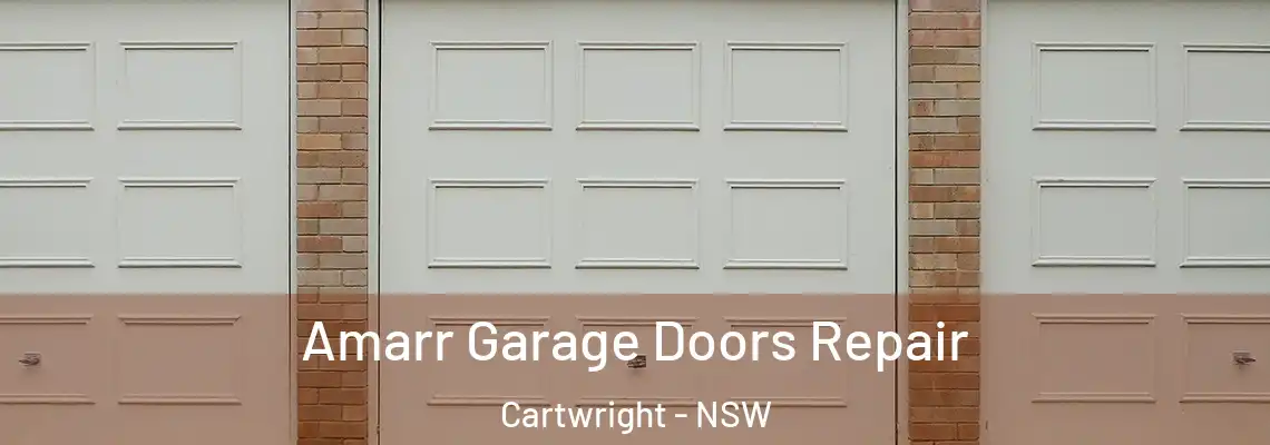  Amarr Garage Doors Repair Cartwright - NSW