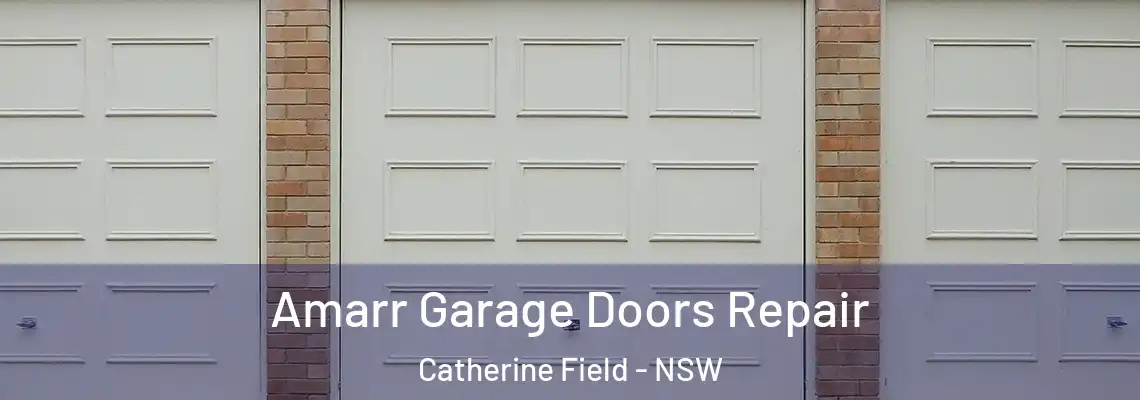 Amarr Garage Doors Repair Catherine Field - NSW