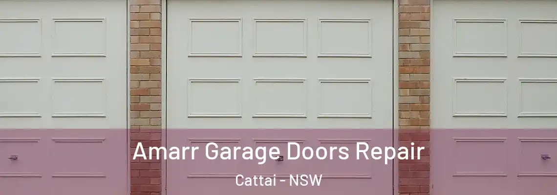  Amarr Garage Doors Repair Cattai - NSW