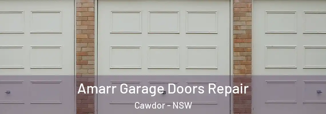 Amarr Garage Doors Repair Cawdor - NSW