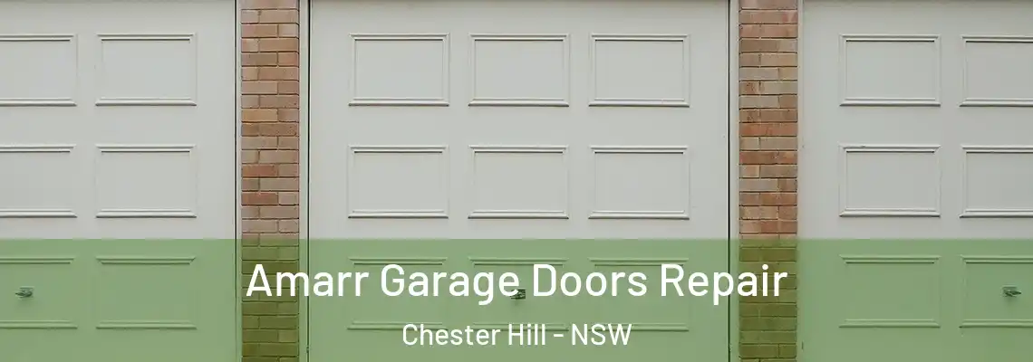 Amarr Garage Doors Repair Chester Hill - NSW