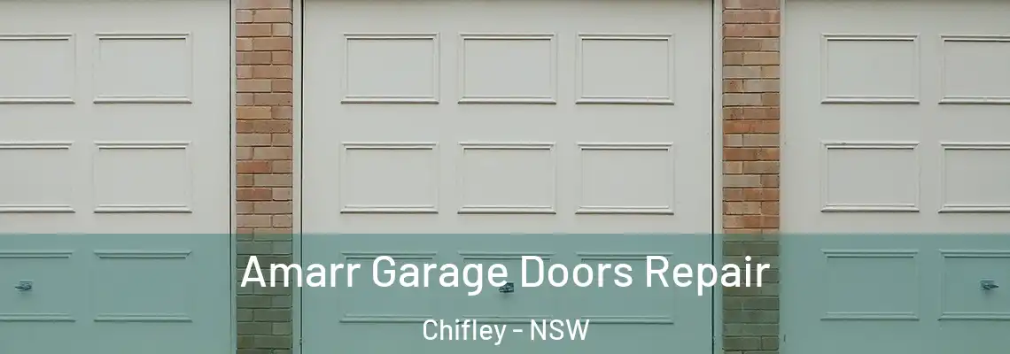 Amarr Garage Doors Repair Chifley - NSW