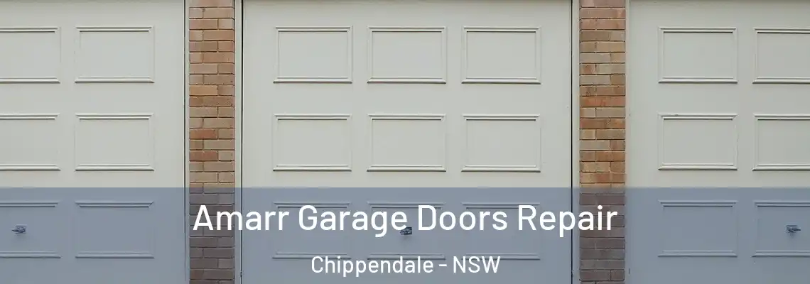  Amarr Garage Doors Repair Chippendale - NSW