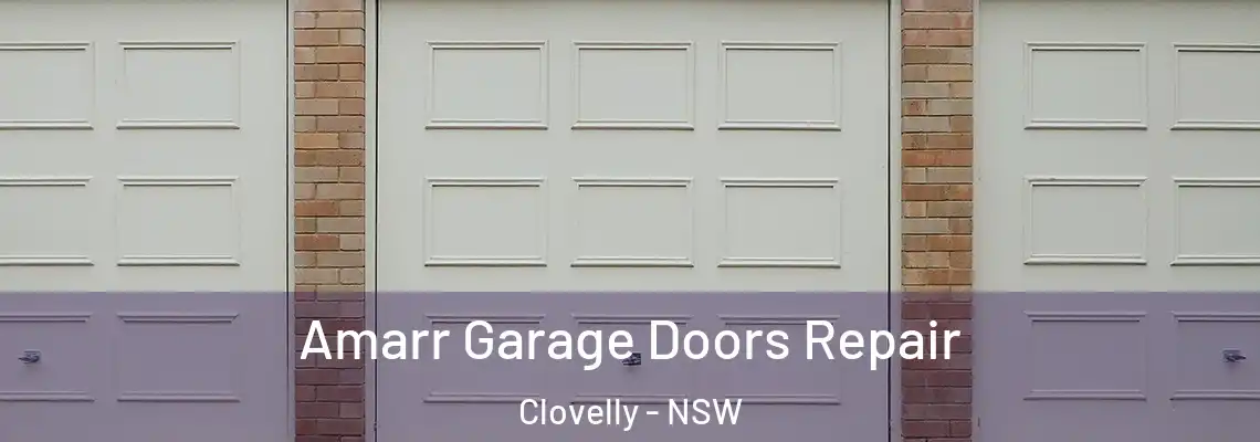 Amarr Garage Doors Repair Clovelly - NSW