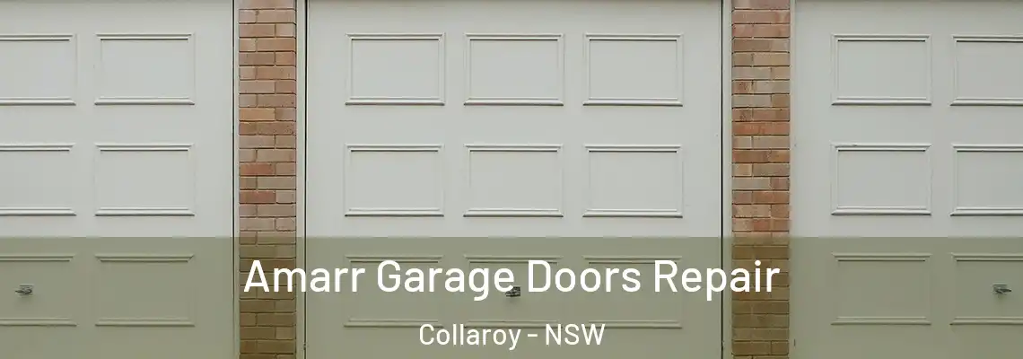 Amarr Garage Doors Repair Collaroy - NSW
