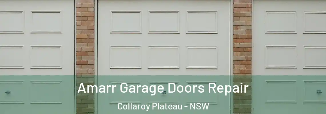 Amarr Garage Doors Repair Collaroy Plateau - NSW