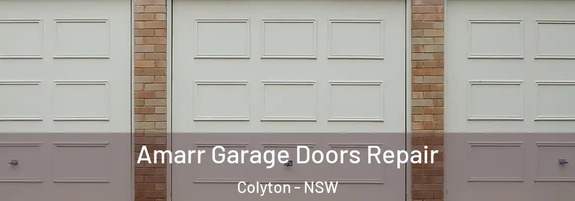Amarr Garage Doors Repair Colyton - NSW
