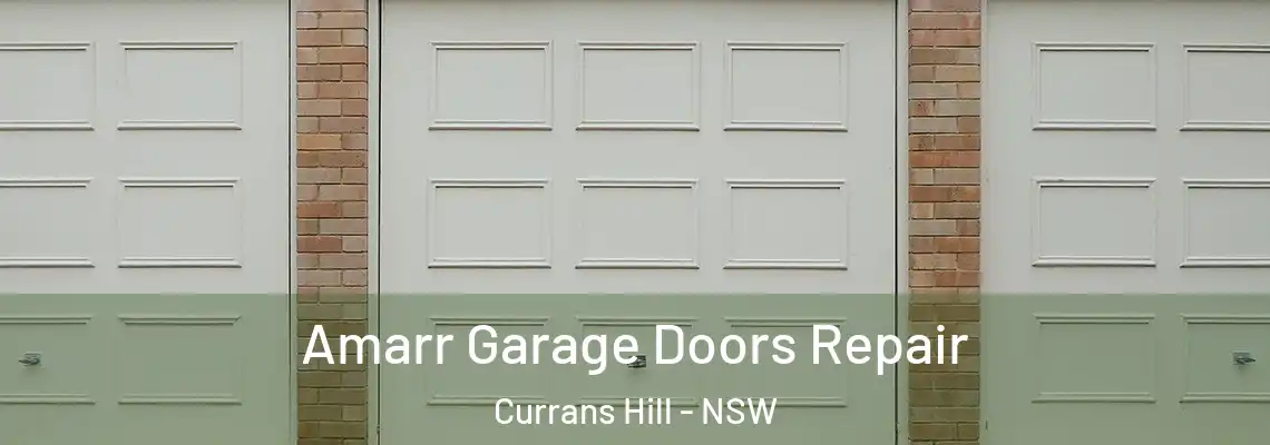 Amarr Garage Doors Repair Currans Hill - NSW