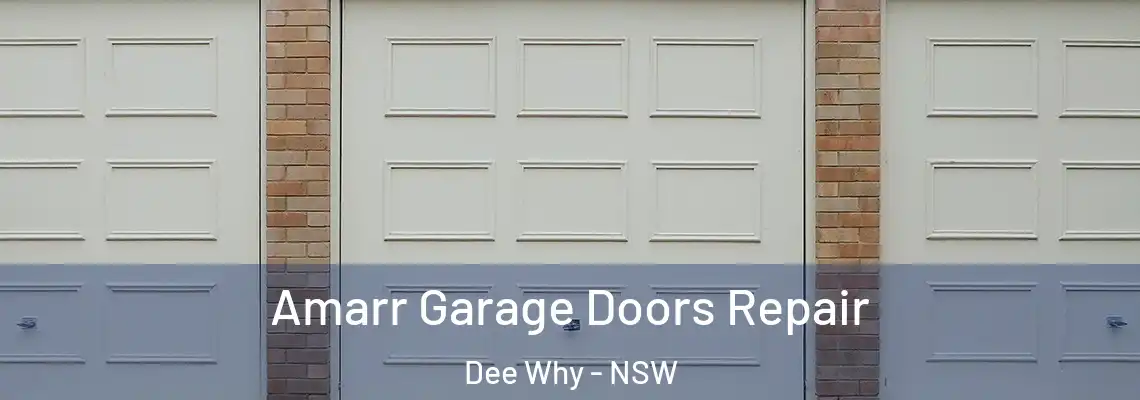  Amarr Garage Doors Repair Dee Why - NSW
