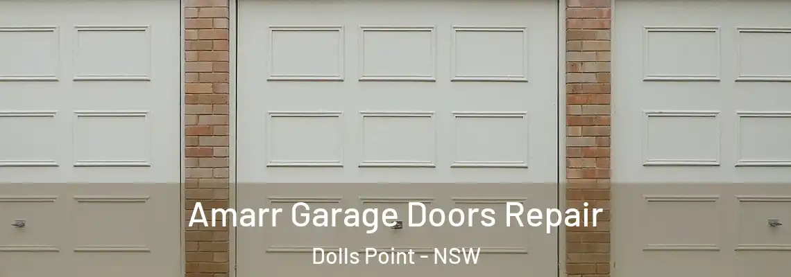 Amarr Garage Doors Repair Dolls Point - NSW