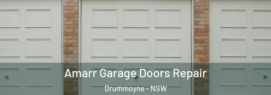 Amarr Garage Doors Repair Drummoyne - NSW