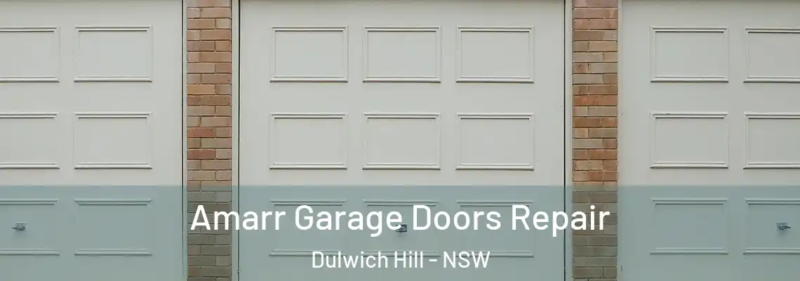 Amarr Garage Doors Repair Dulwich Hill - NSW