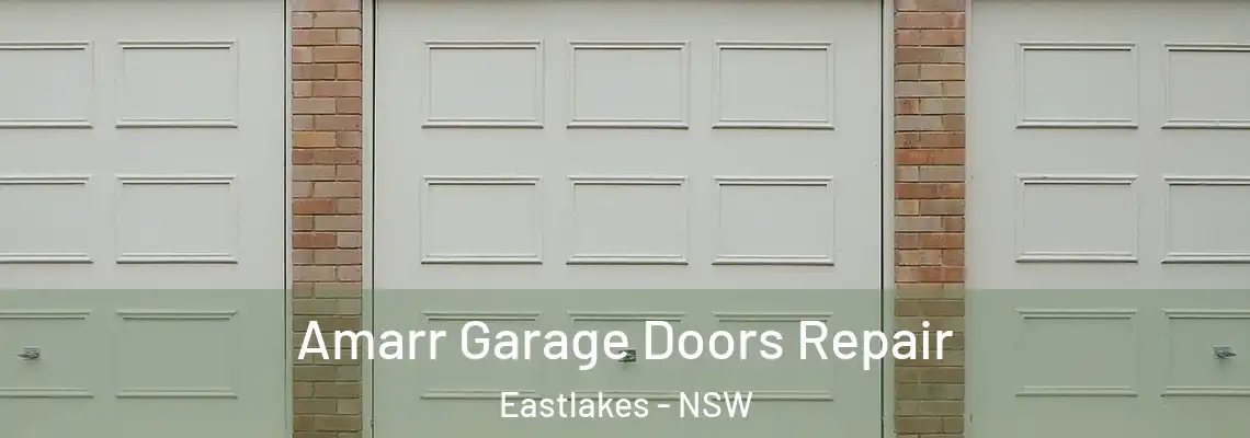 Amarr Garage Doors Repair Eastlakes - NSW