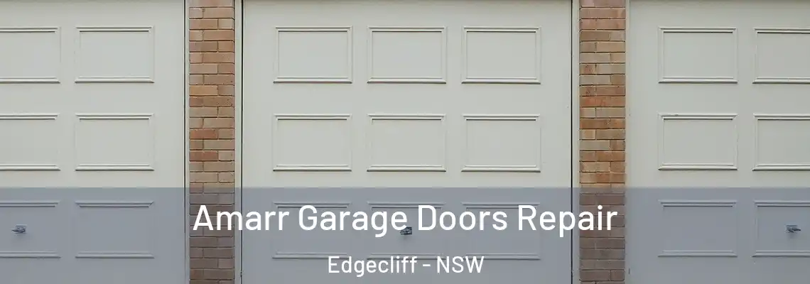 Amarr Garage Doors Repair Edgecliff - NSW